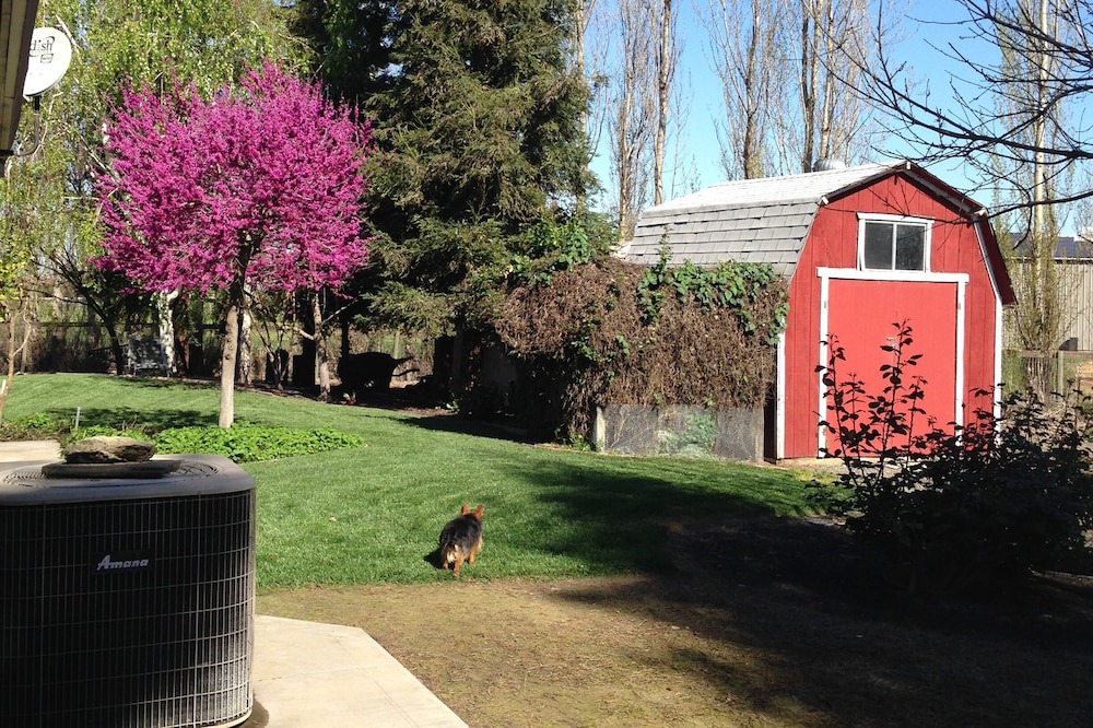 Photo of Outdoor in Oakdale
