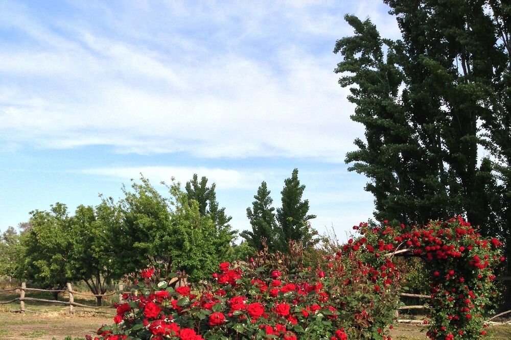 Photo of Outdoor in Oakdale