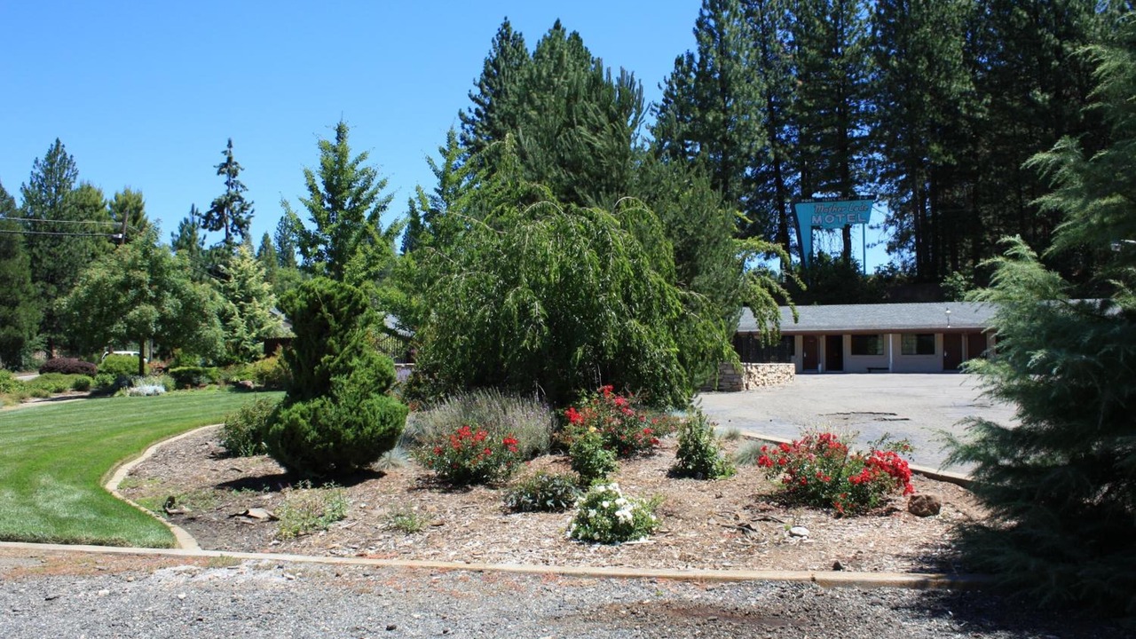Photo of Outdoor in Apple Hill
