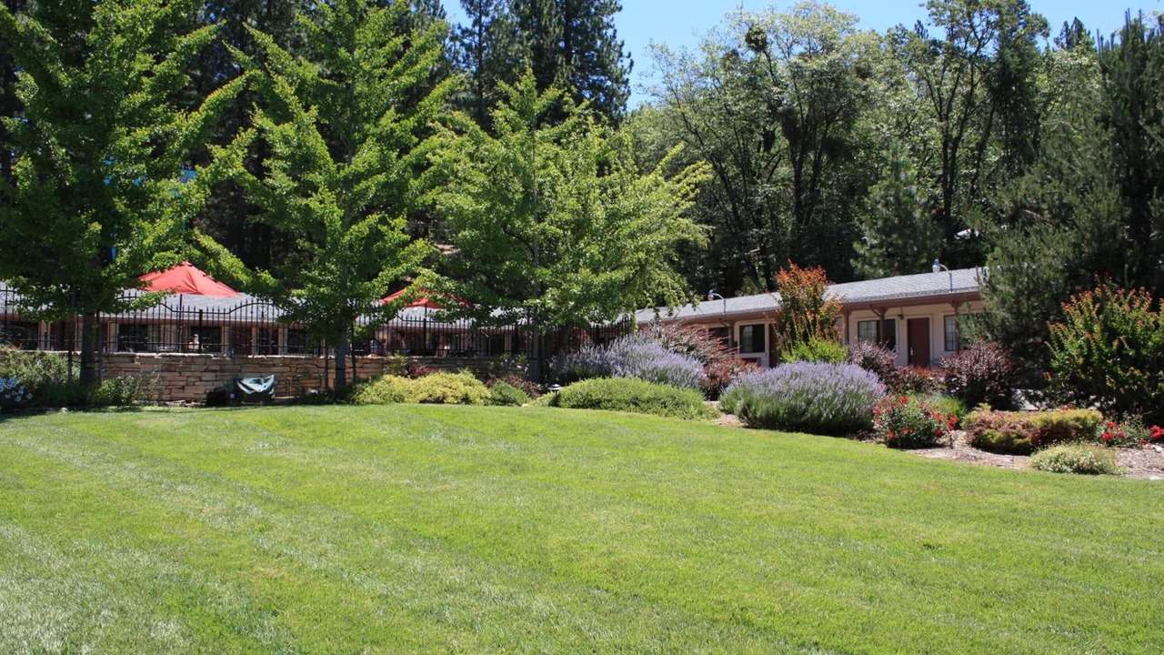 Photo of Outdoor in Apple Hill