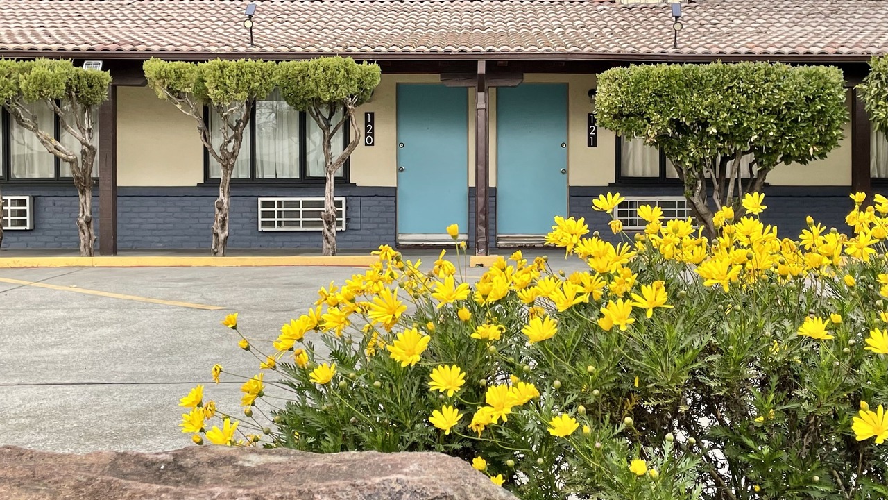 Photo of Outdoor in Red Bluff