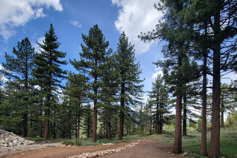 Photo of Outdoor in Reno