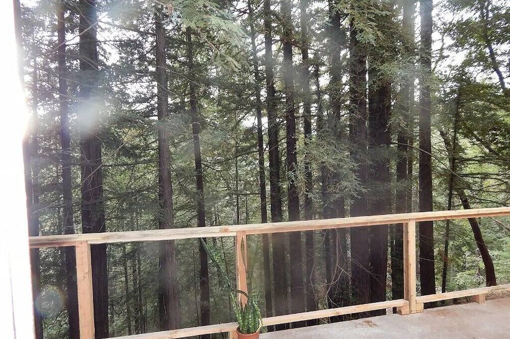 Photo of Outdoor in Los Gatos
