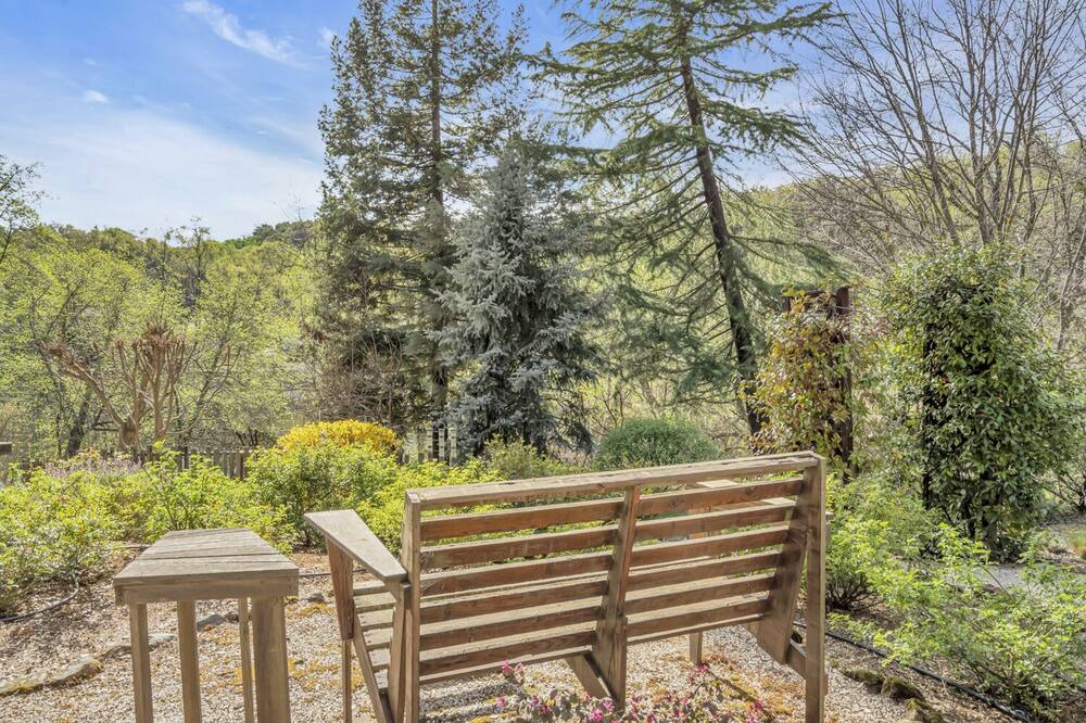 Photo of Others in Grass Valley