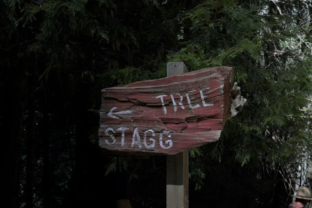 Photo of Others in Ponderosa