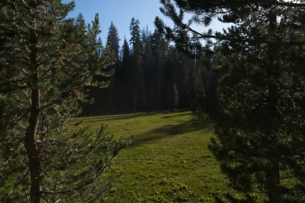 Photo of Outdoor in Ponderosa