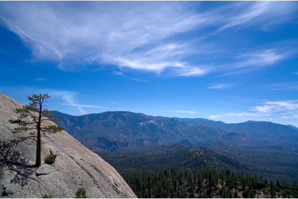 Photo of Others in Ponderosa