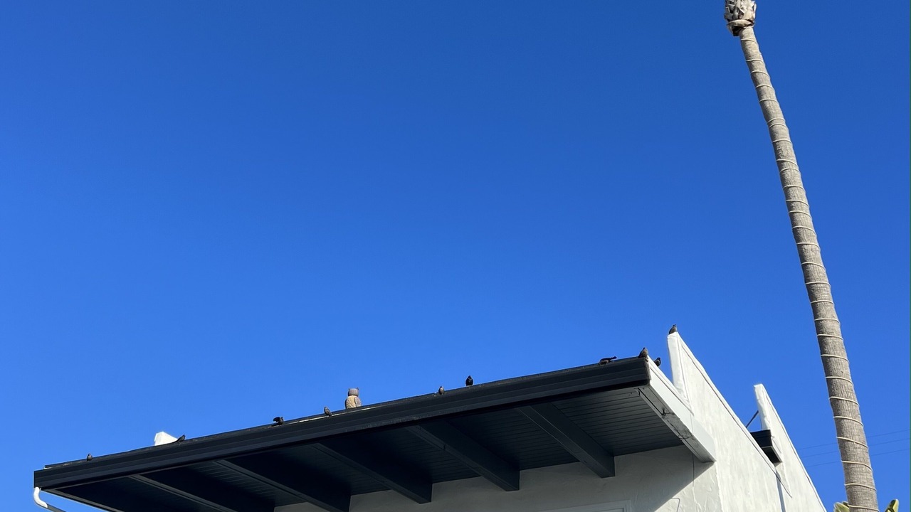 Photo of Outdoor in Aptos