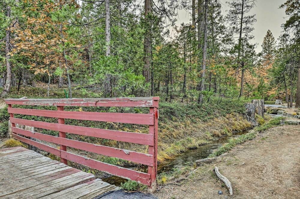 Photo of Outdoor in Twain Harte