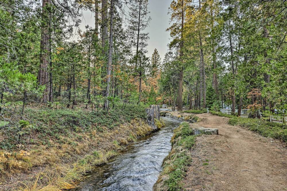 Photo of Outdoor in Twain Harte