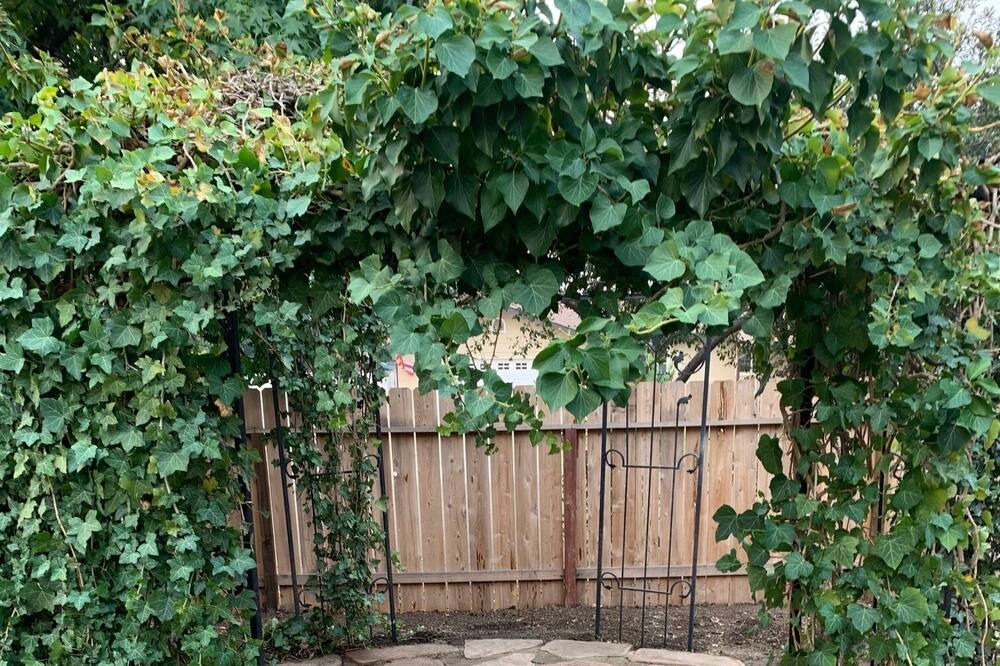 Photo of Outdoor in Redding