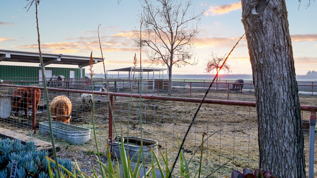 Photo of Outdoor in Tulare