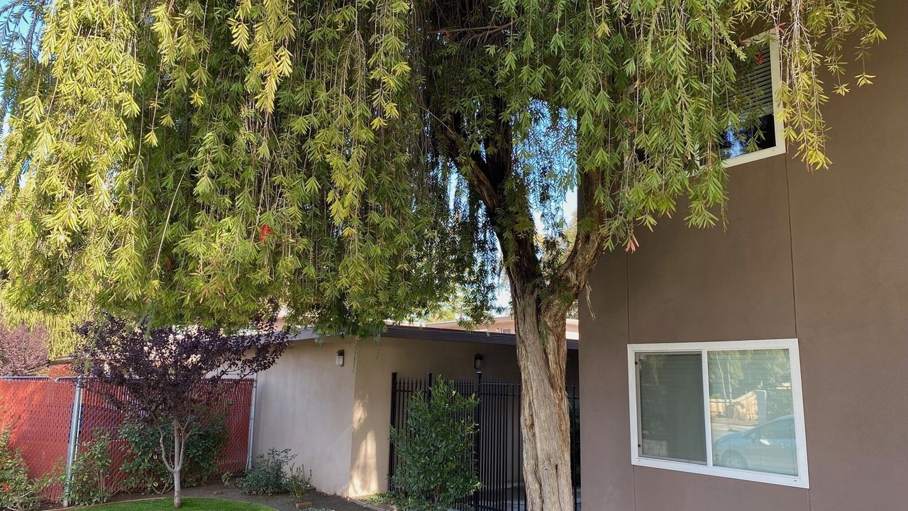 Photo of Outdoor in Visalia
