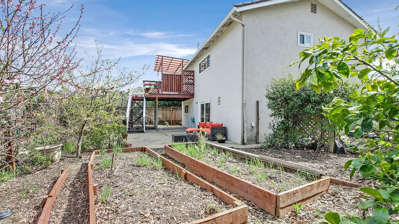 Photo of Outdoor in Castro Valley