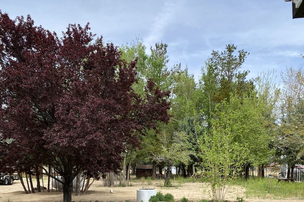 Photo of Outdoor in West Bishop