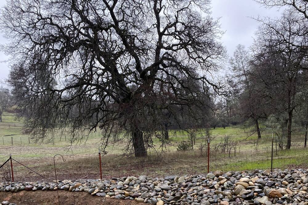 Photo of Outdoor in Redding