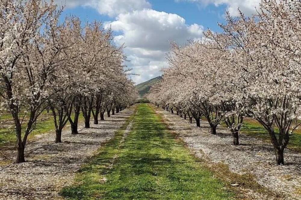 Photo of Outdoor in Reedley