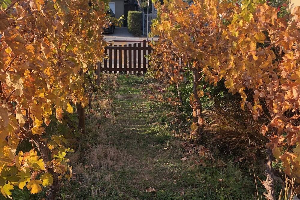 Photo of Outdoor in Redwood City