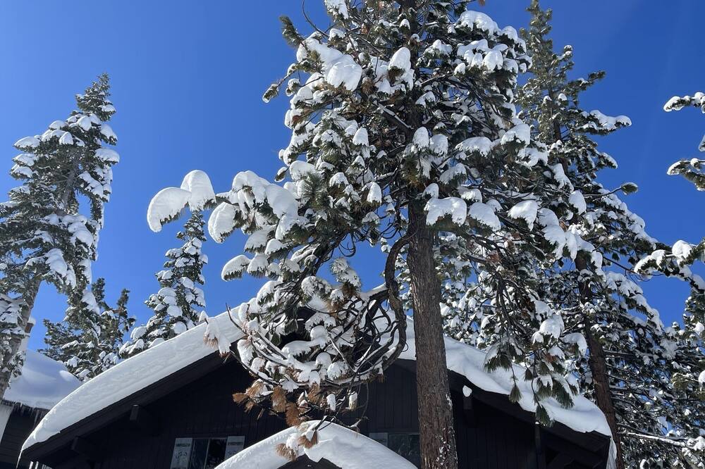 Photo of Outdoor in South Lake Tahoe