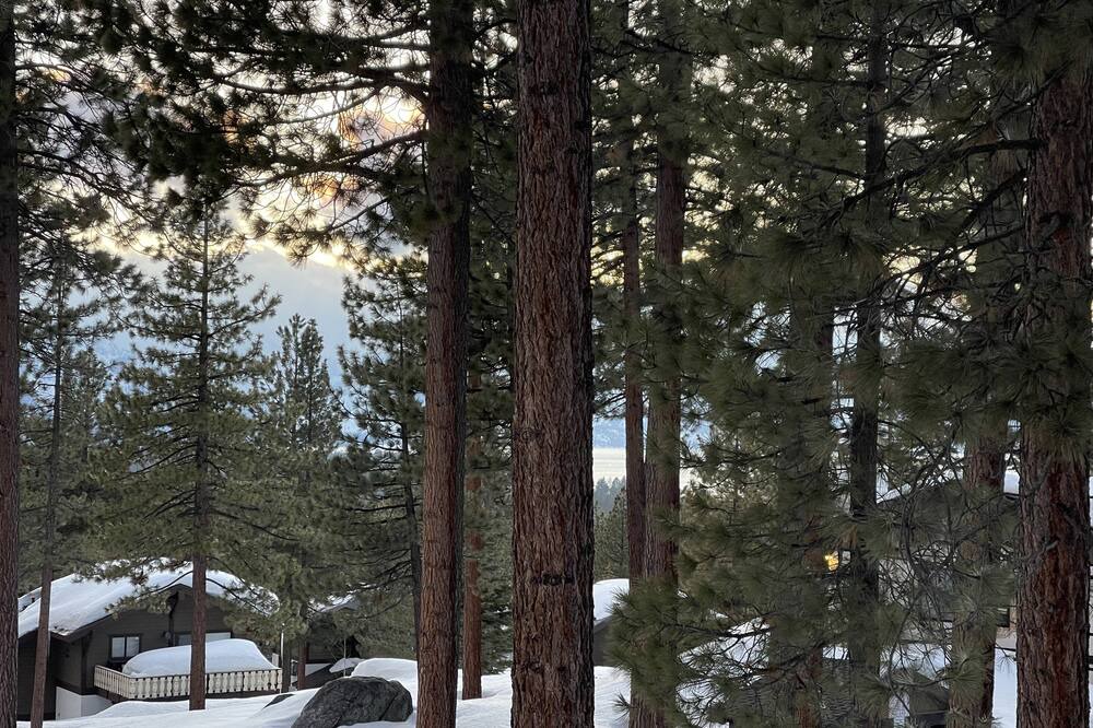 Photo of Outdoor in South Lake Tahoe