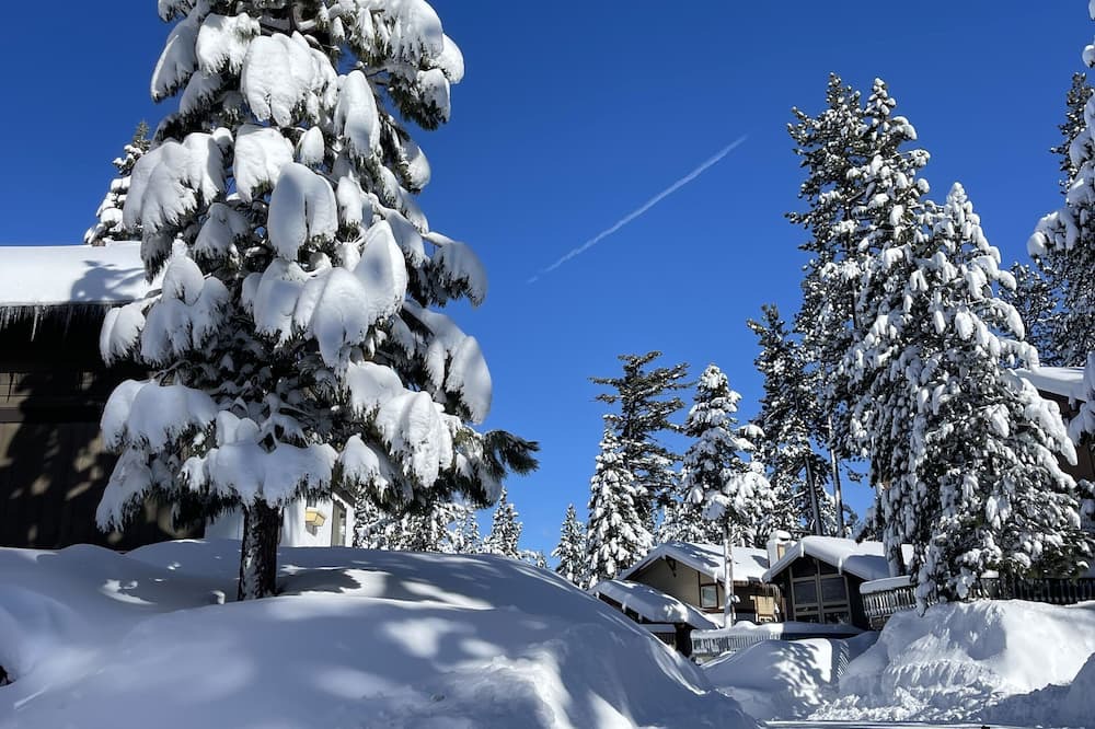 Photo of Others in South Lake Tahoe
