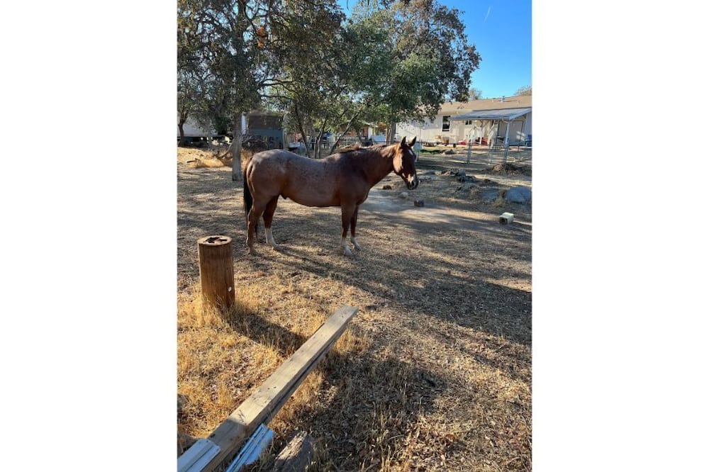 Photo of Outdoor in Squaw Valley