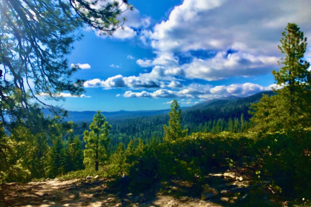 Photo of Outdoor in North Fork