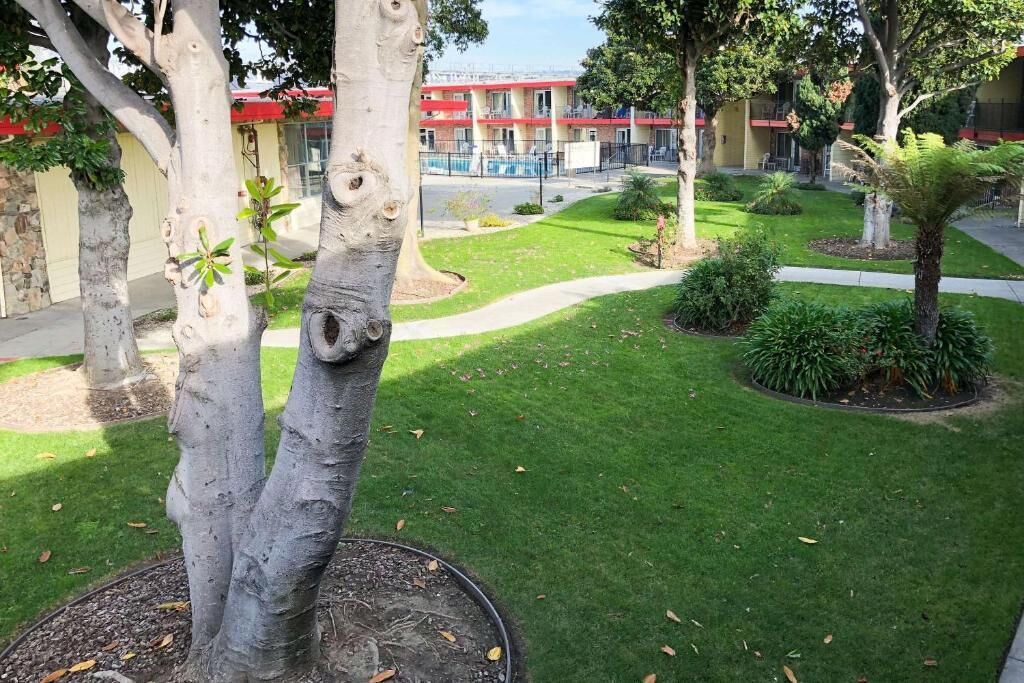 Photo of Outdoor in Oakland