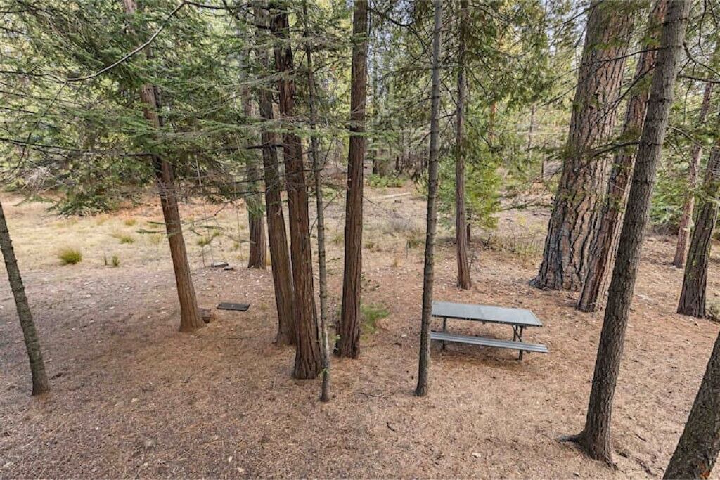 Photo of Outdoor in Shaver Lake