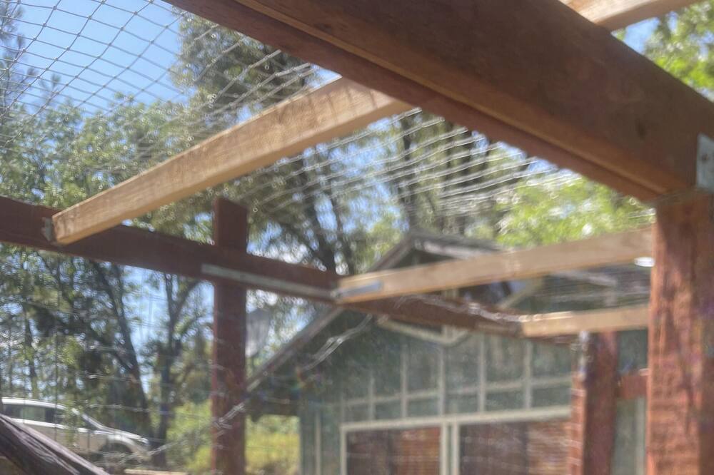 Photo of Outdoor in Altaville