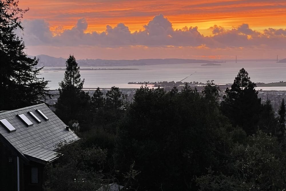 Photo of Outdoor in Berkeley Hills