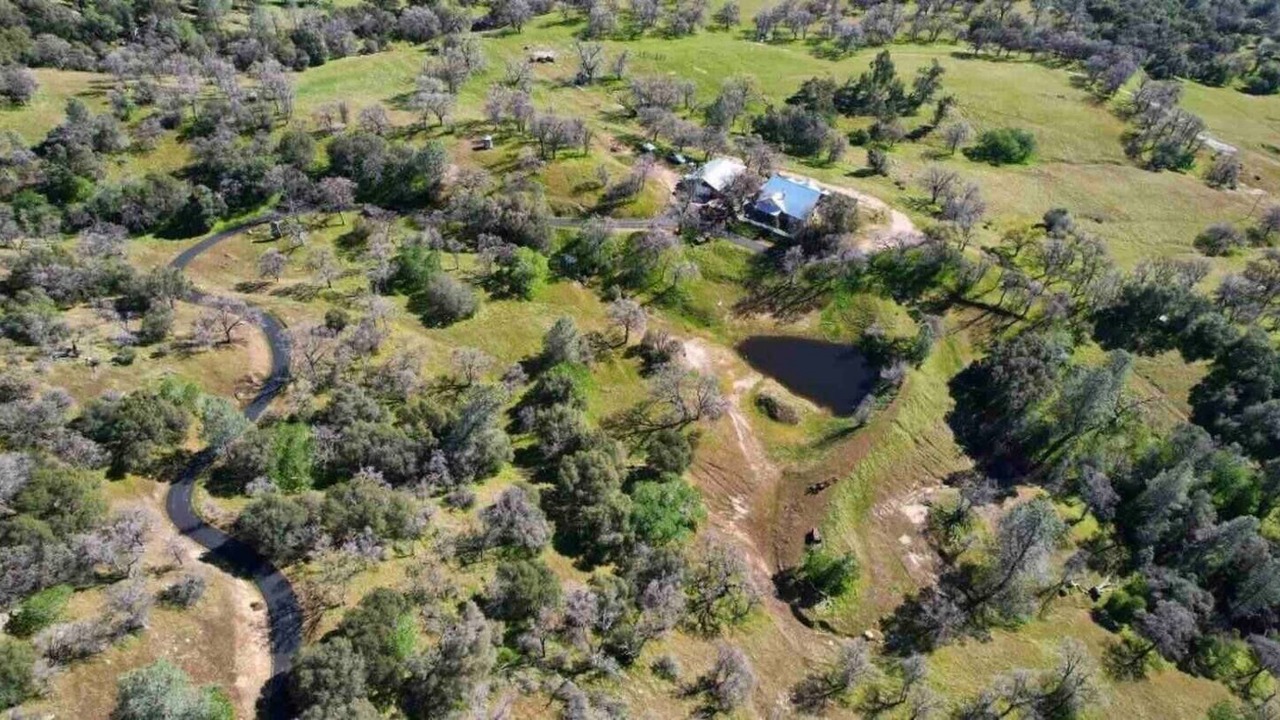 Photo of Outdoor in North Fork
