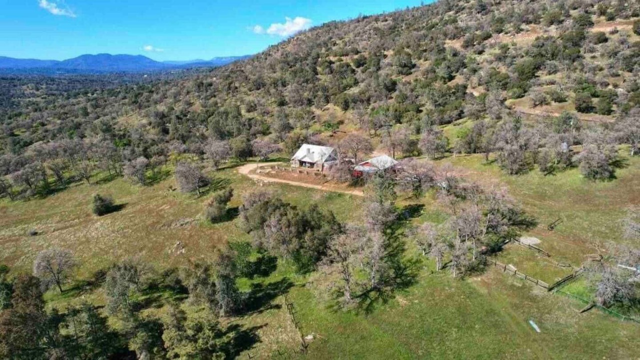 Photo of Outdoor in North Fork