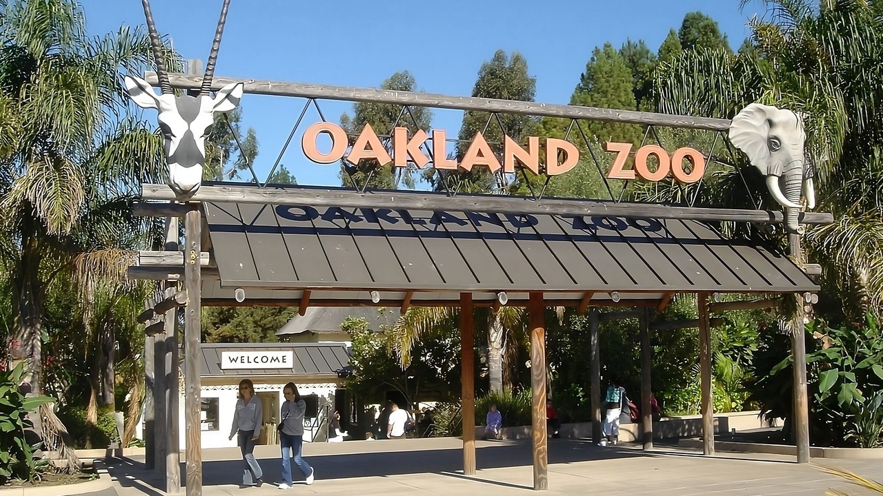 Photo of Outdoor in San Ramon