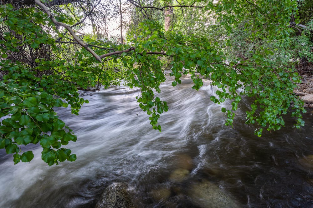 Photo of Outdoor in Bishop