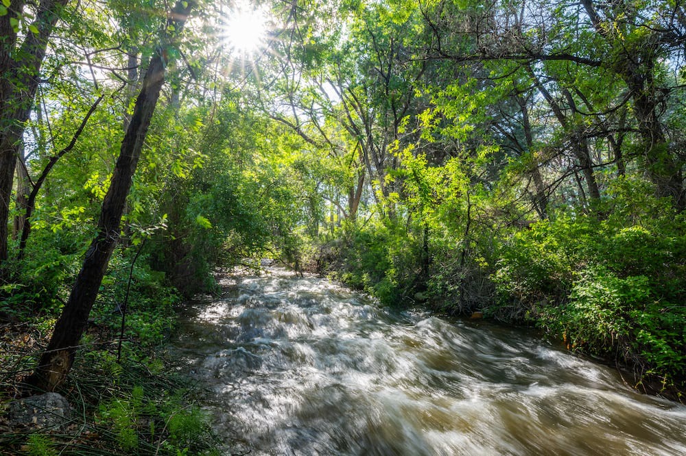 Photo of Outdoor in Bishop