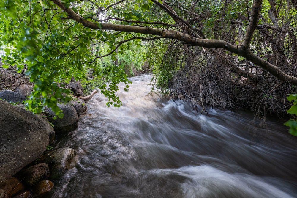 Photo of Outdoor in Bishop