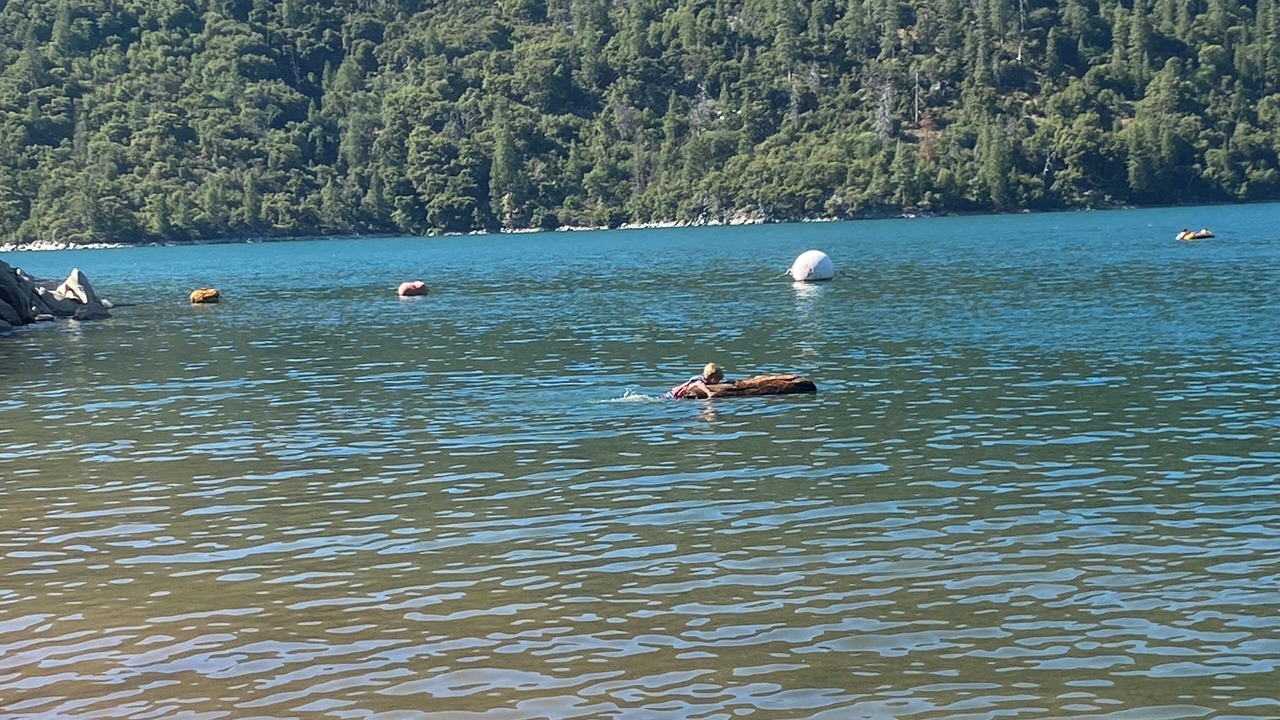 Photo of Others in Pinecrest