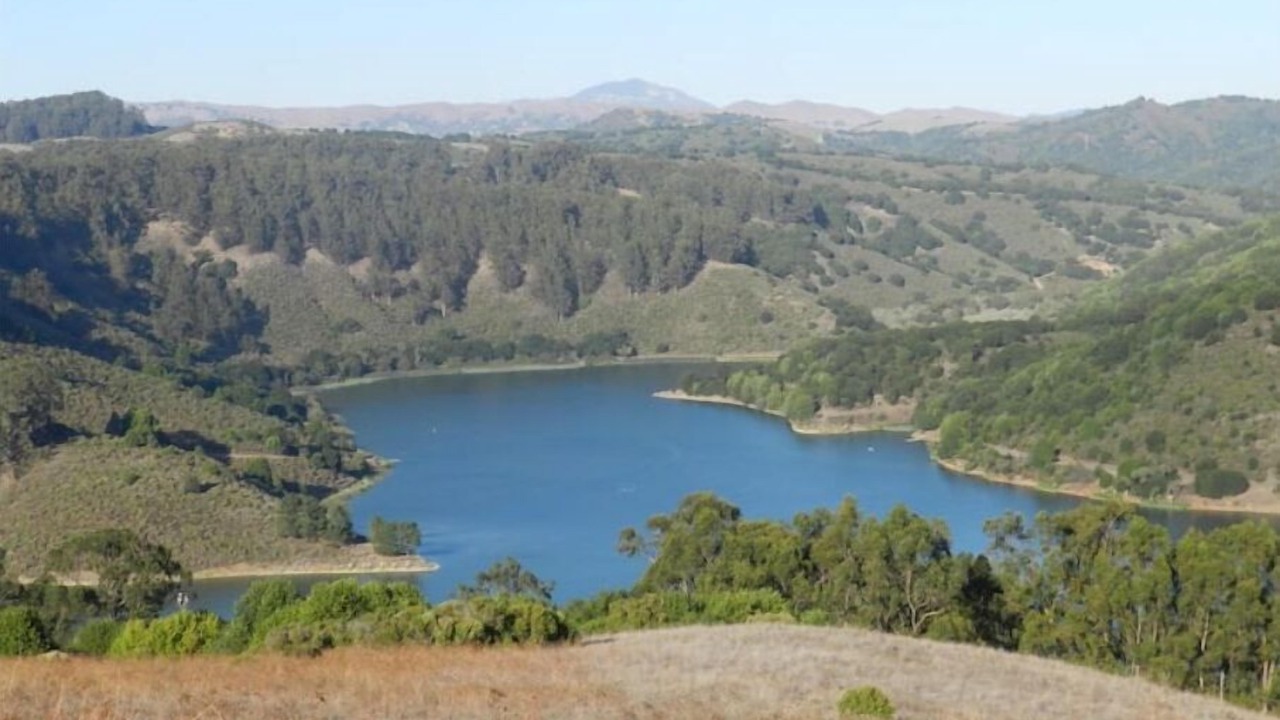 Photo of Others in Castro Valley