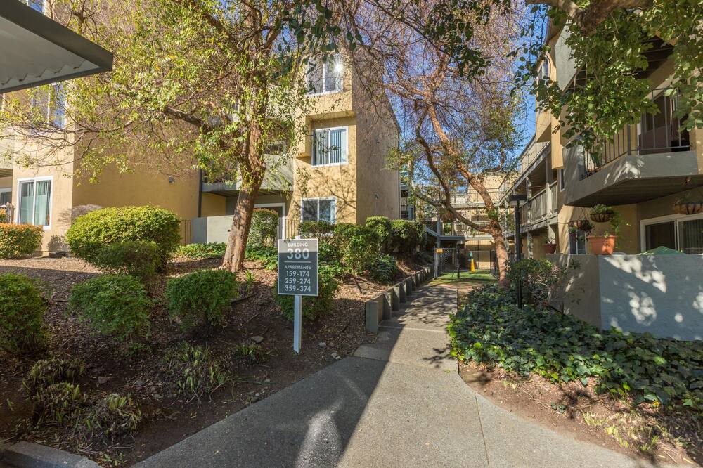 Photo of Outdoor in San Rafael