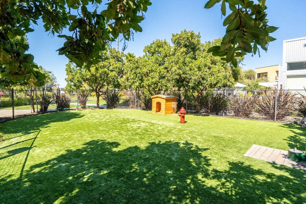Photo of Outdoor in East San Mateo