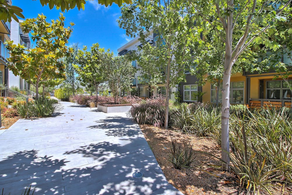 Photo of Outdoor in Cupertino
