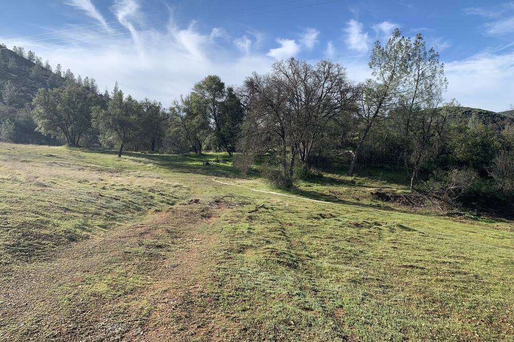 Photo of Outdoor in Coulterville