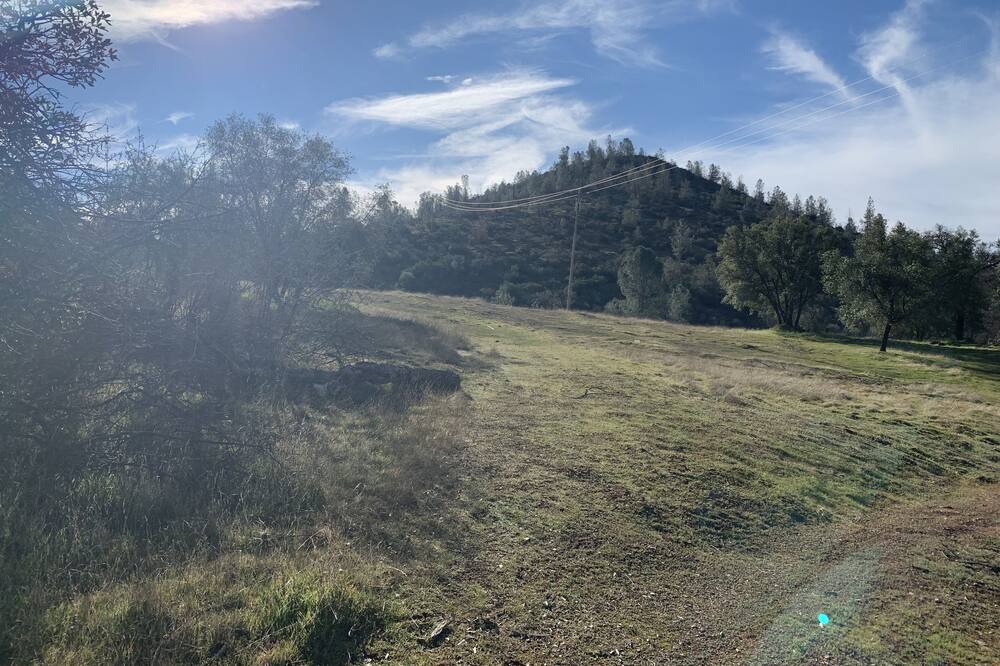 Photo of Outdoor in Coulterville