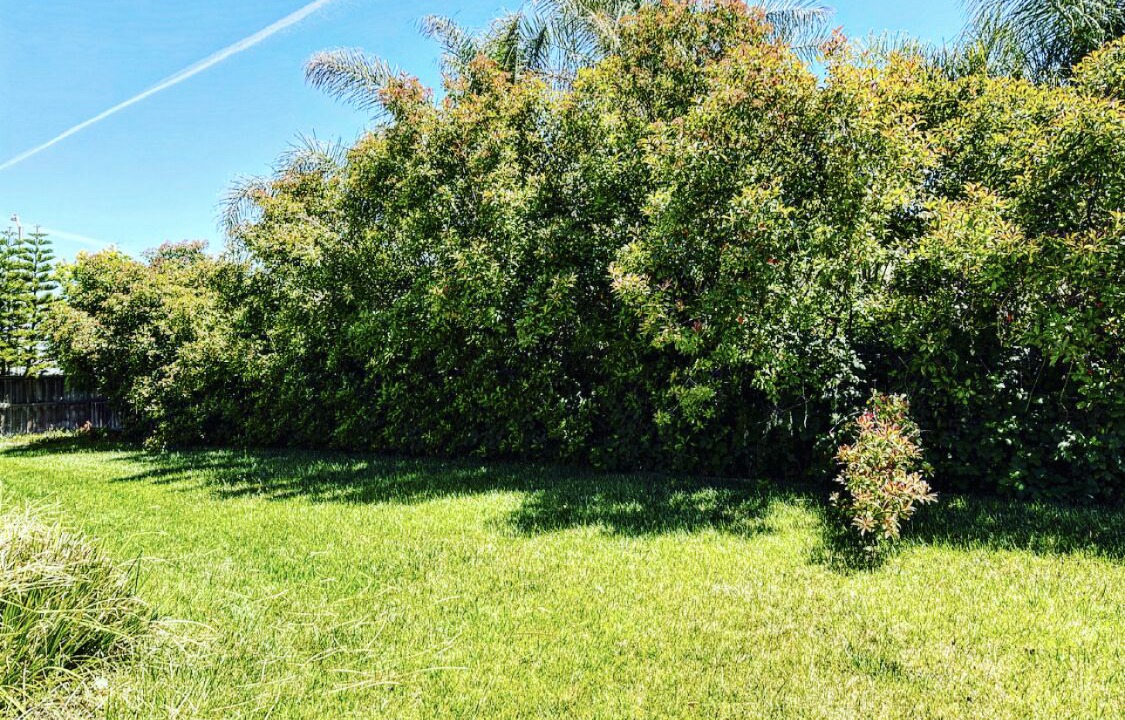 Photo of Outdoor in West Sacramento