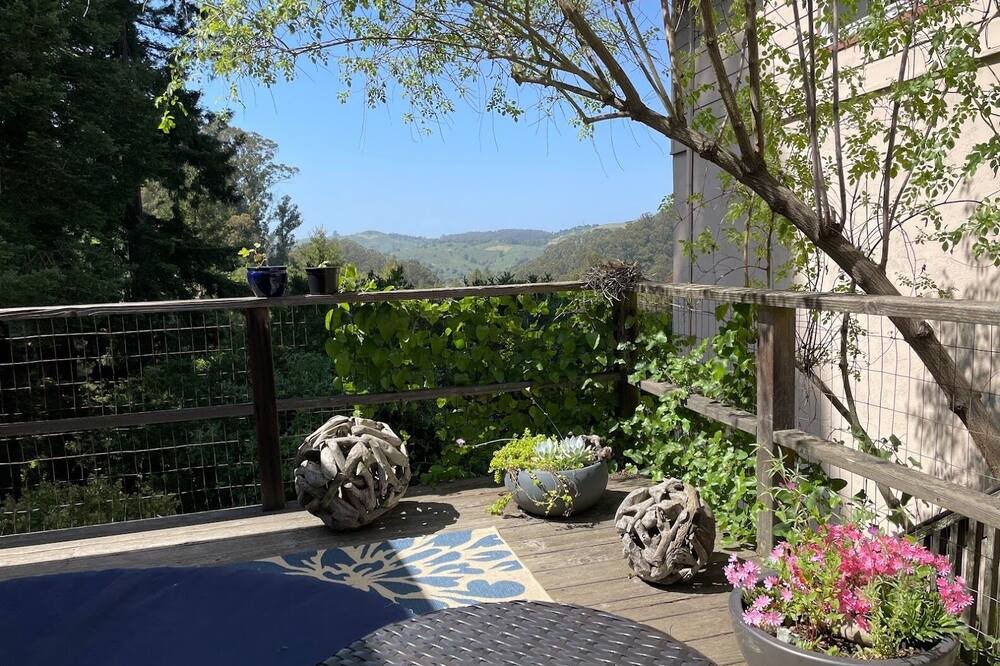 Photo of Outdoor in Berkeley Hills