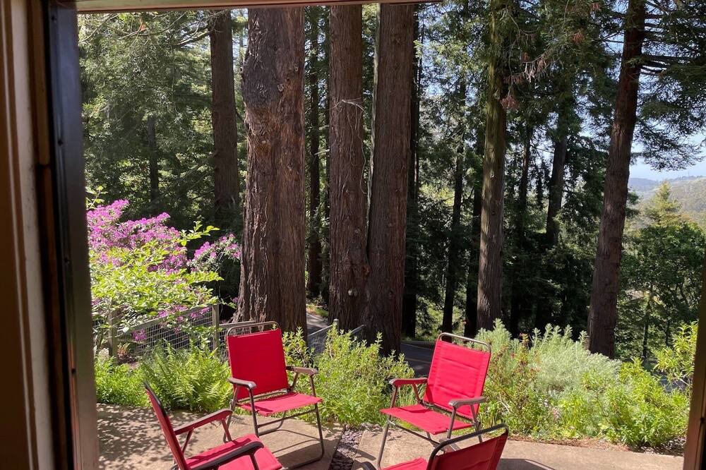 Photo of Outdoor in Berkeley Hills