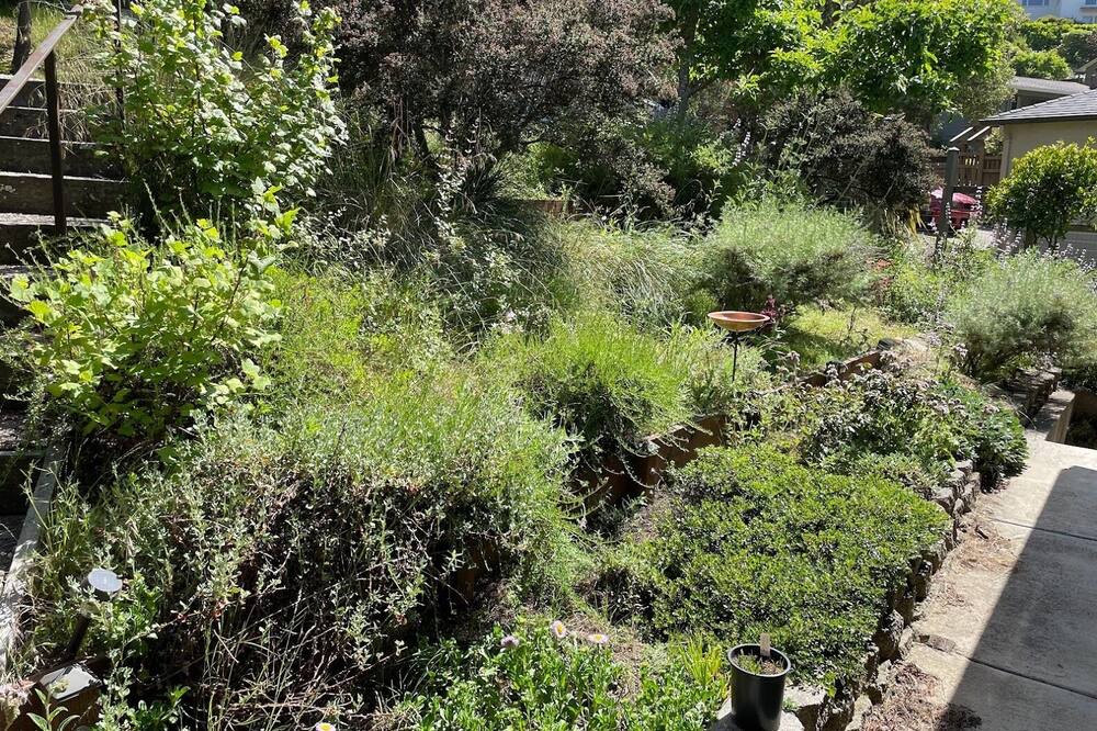 Photo of Outdoor in Berkeley Hills