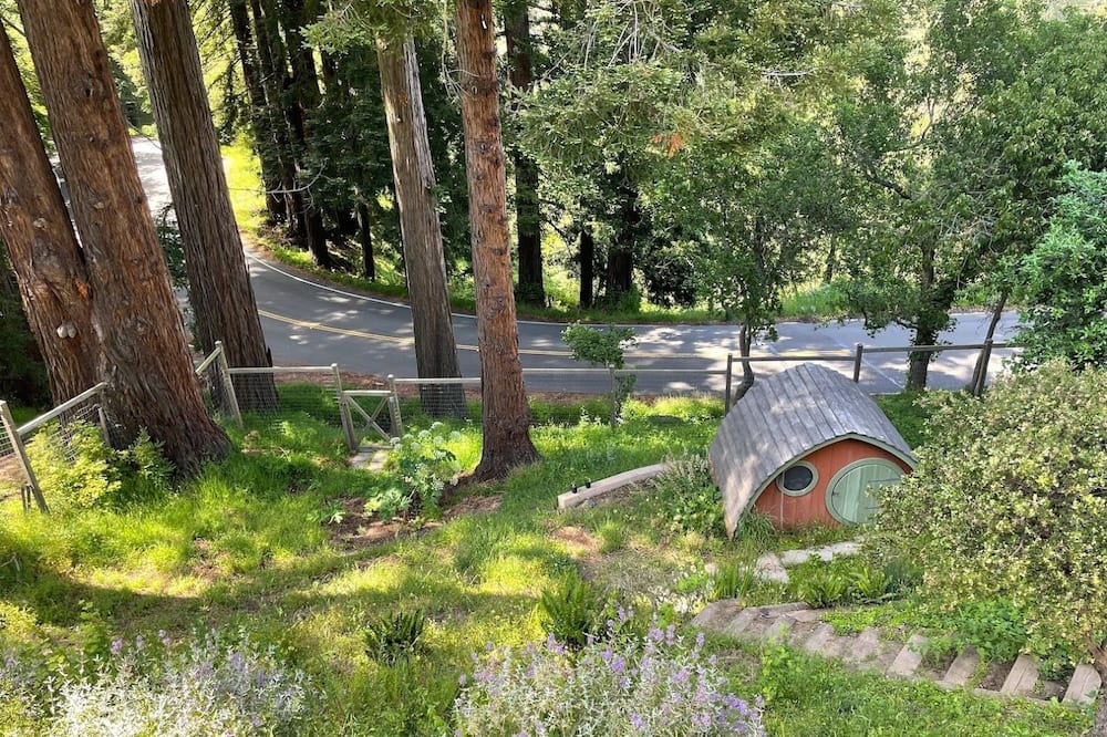 Photo of Outdoor in Berkeley Hills