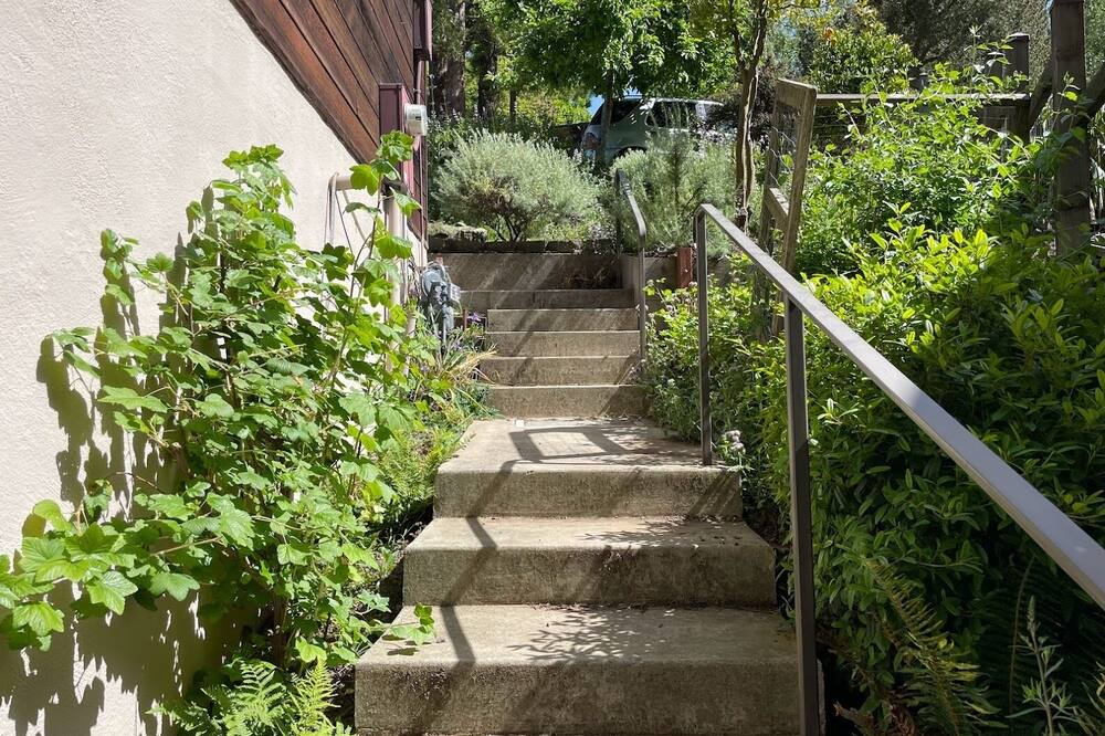 Photo of Outdoor in Berkeley Hills
